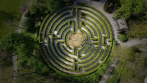 a maze in a circular shape with bushes and trees